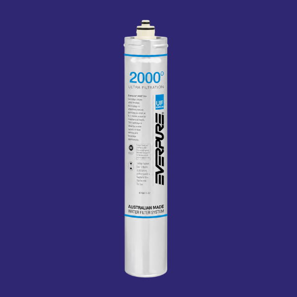 Cartouche filtrante de remplacement Everpure i2000(2) EV9612-22
