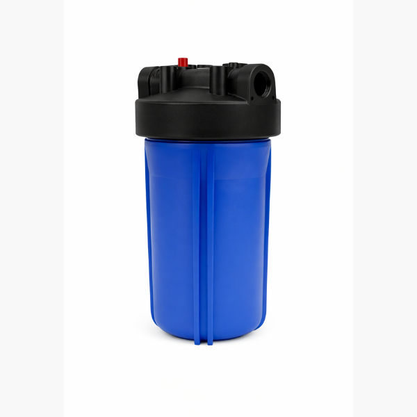 Boîtier de filtre à sac de 10 pouces 1 pouce avec 2 filtres