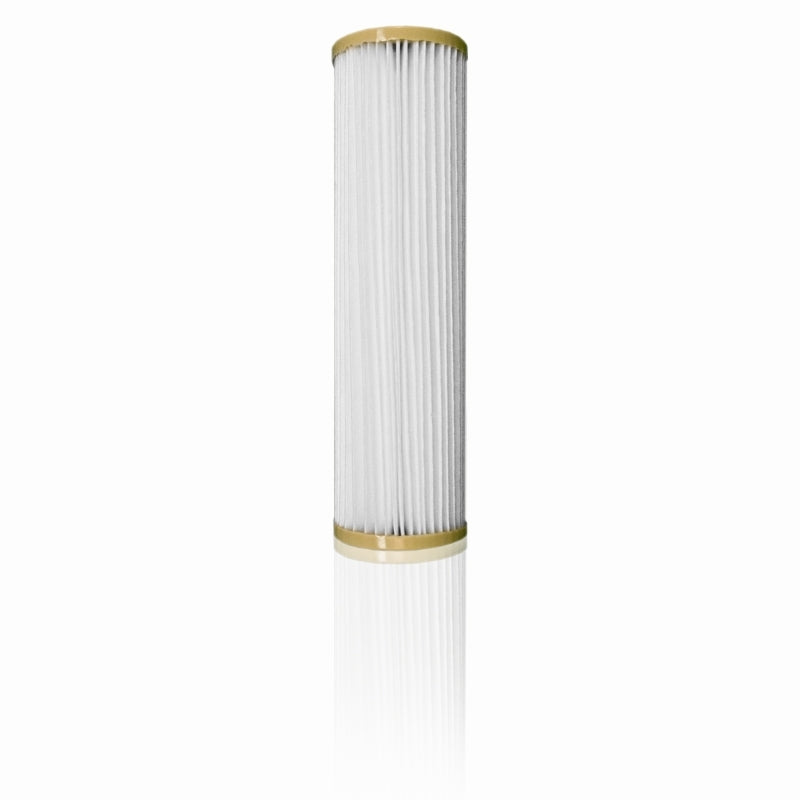 Insert de filtre plissé en polyester de 10 pouces pour boîtier (PPL10)